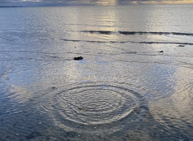 Ledercoaching for nye ledere, mellemledere og ledere af ledere